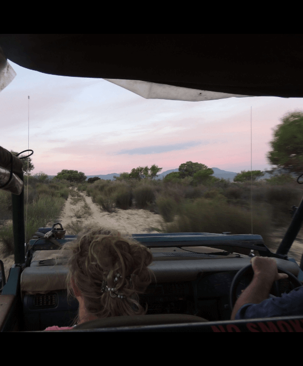 Game Drives 1