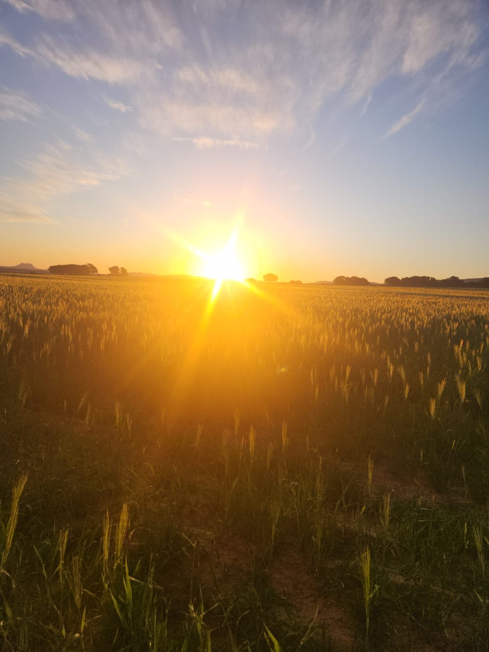 Goudkop Sunrise Goudkop Sunrise