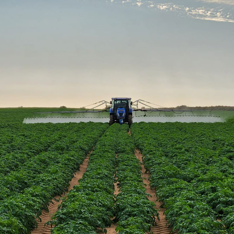 Spraying Potato fields Spraying Potato fields