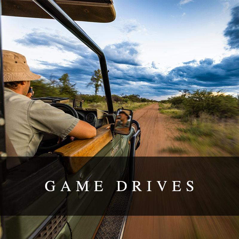 Game Drives at Goudkop