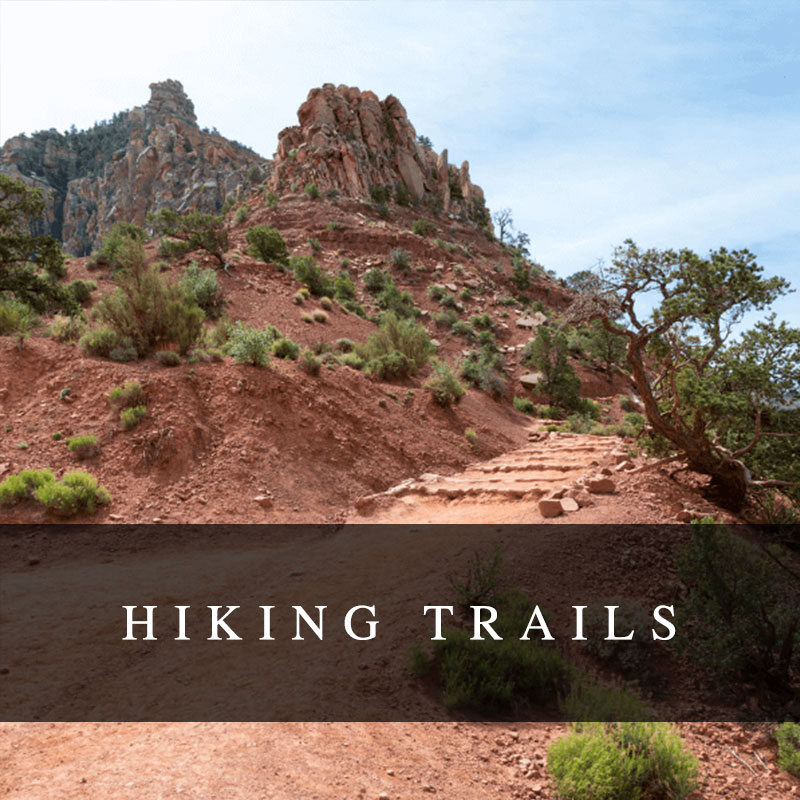 Hiking Trails at Goudkop